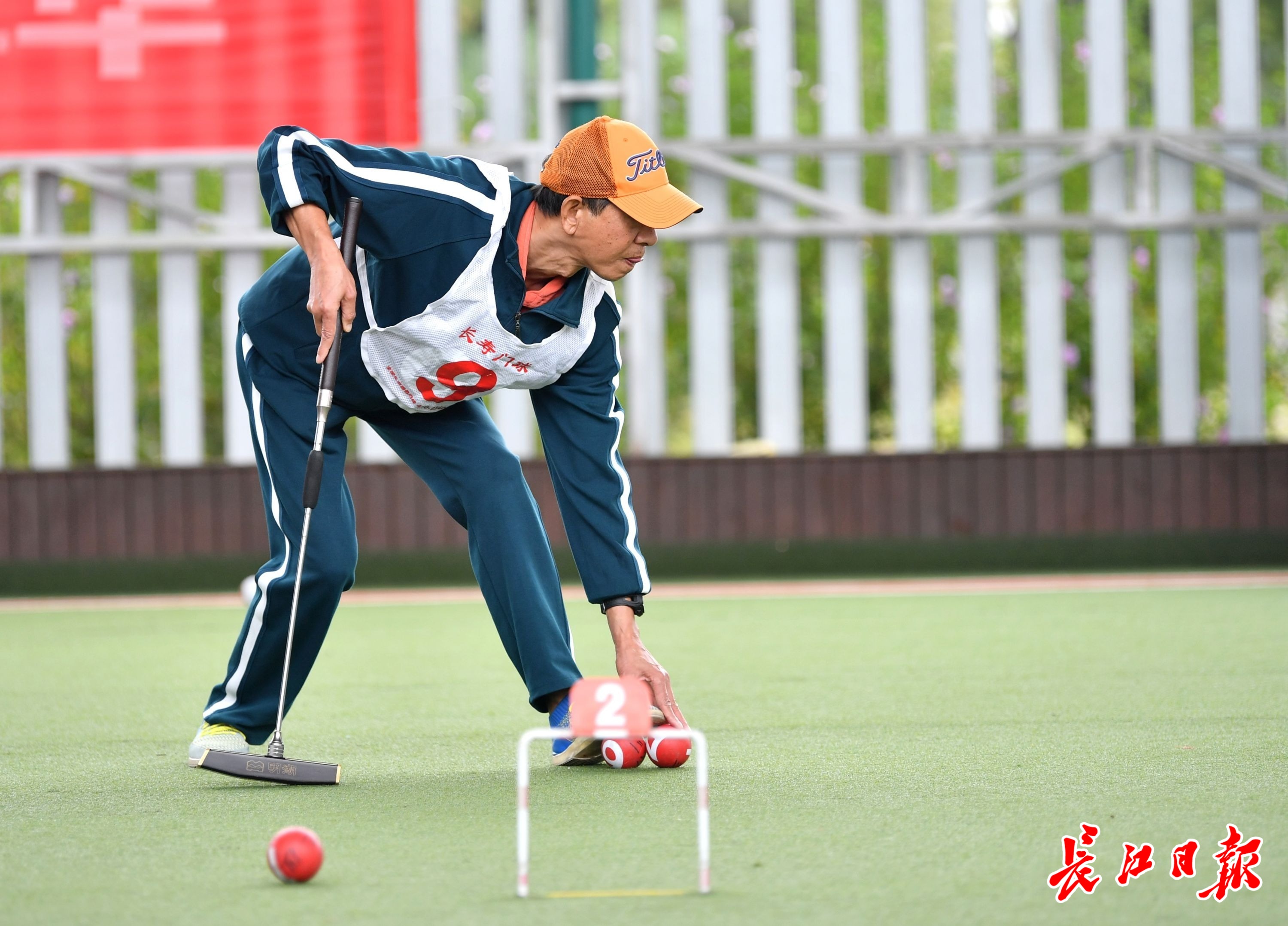 温州门球_(温州门球草)  第1张