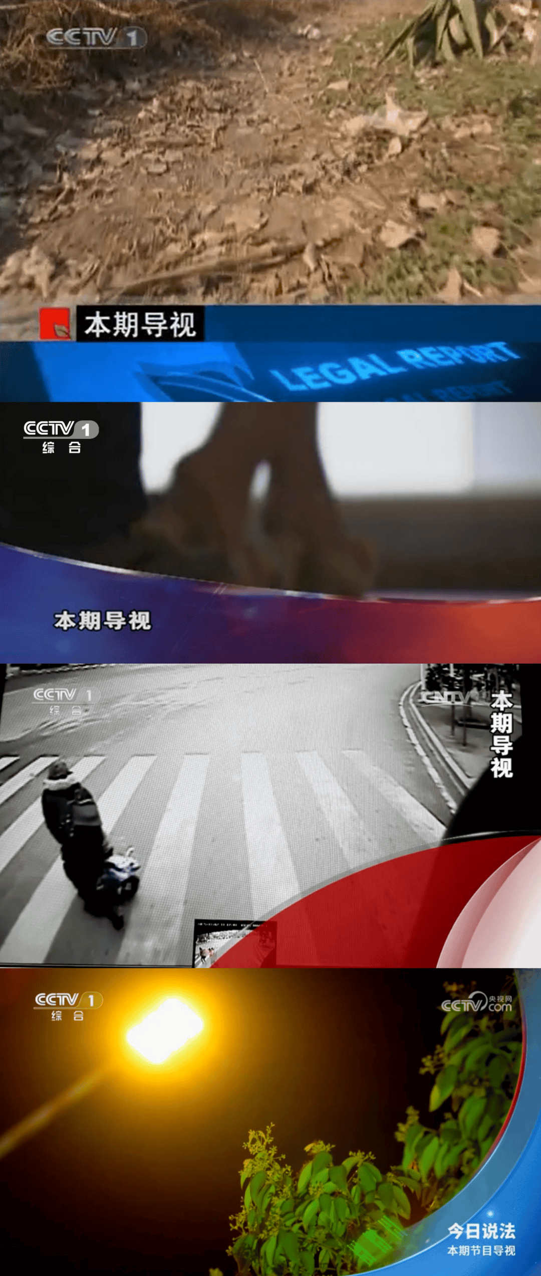 今日说法最新一期_(今日说法最新一期内容)