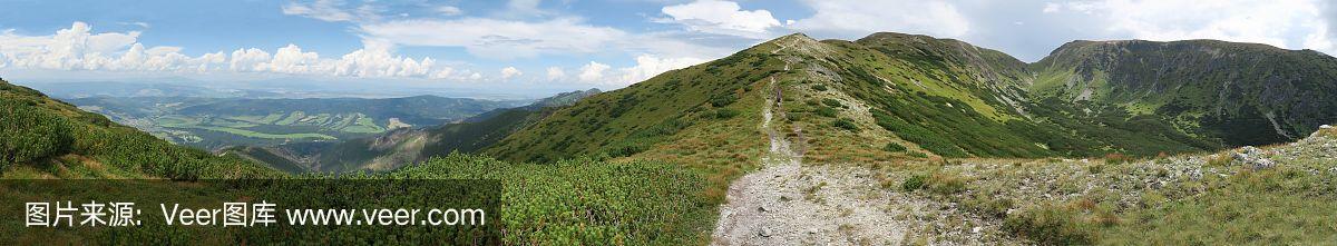 罗哈斯_(利奥罗哈斯)  第2张