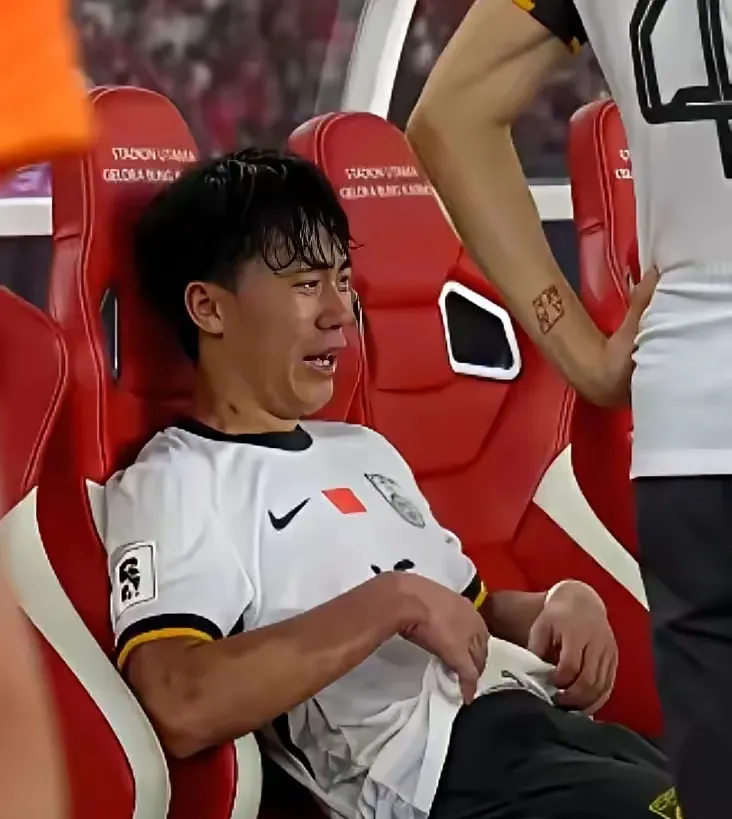 世预赛尼日利亚4-1加蓬向世界杯资格迈进一步的简单介绍  第2张