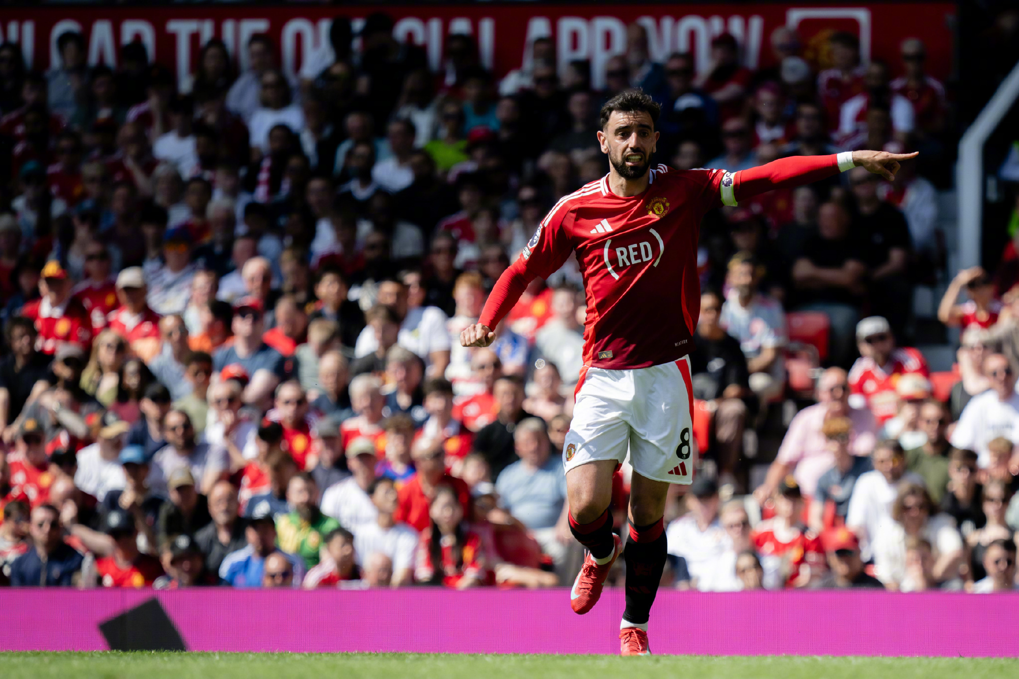 包含阿莫林：我不想没夺冠就离开曼联上任将近一年的词条