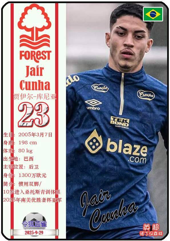 诺丁汉森林公布欧联杯名单津琴科落选的简单介绍  第2张