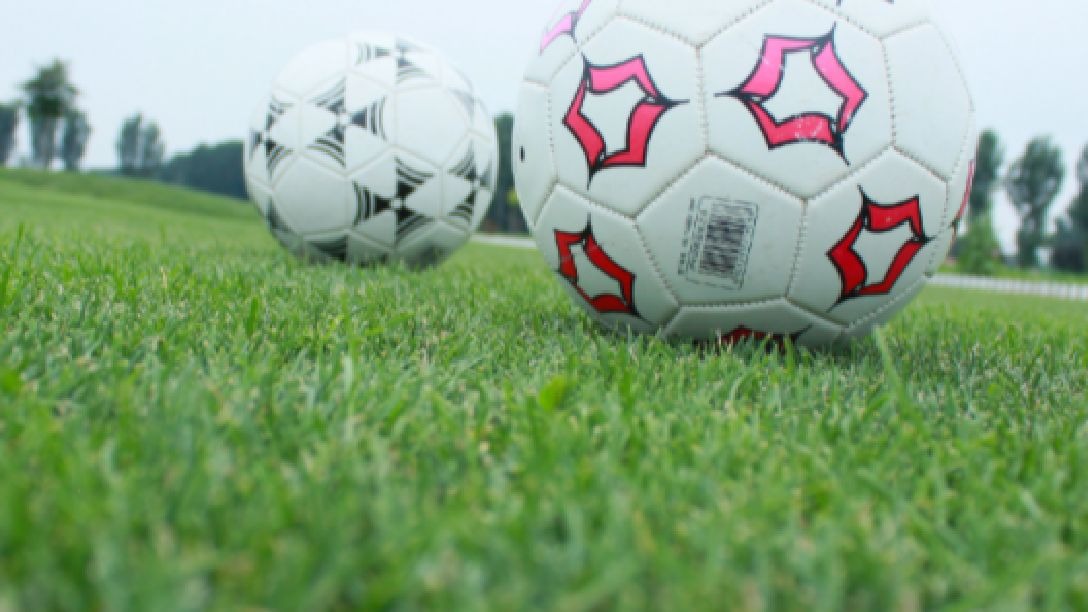 世欧预保加利亚VS西班牙预测分析西班牙实力强大且比赛经验丰富的简单介绍