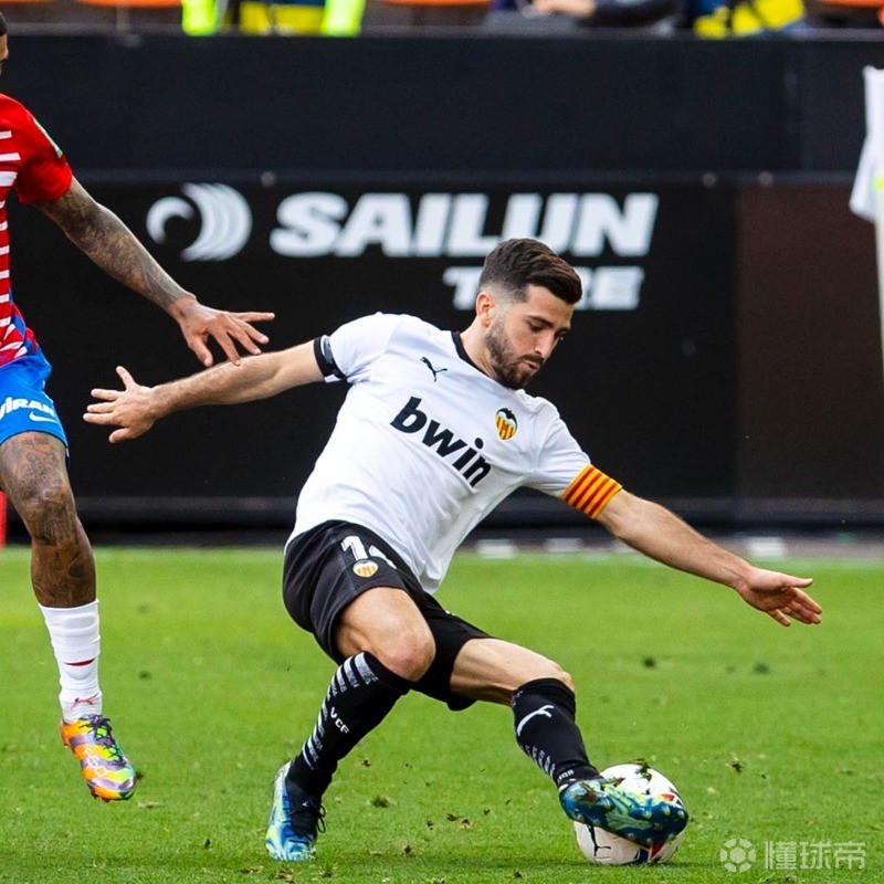 豪梅多梅内奇宣布退役为瓦伦西亚效力长达10年的简单介绍