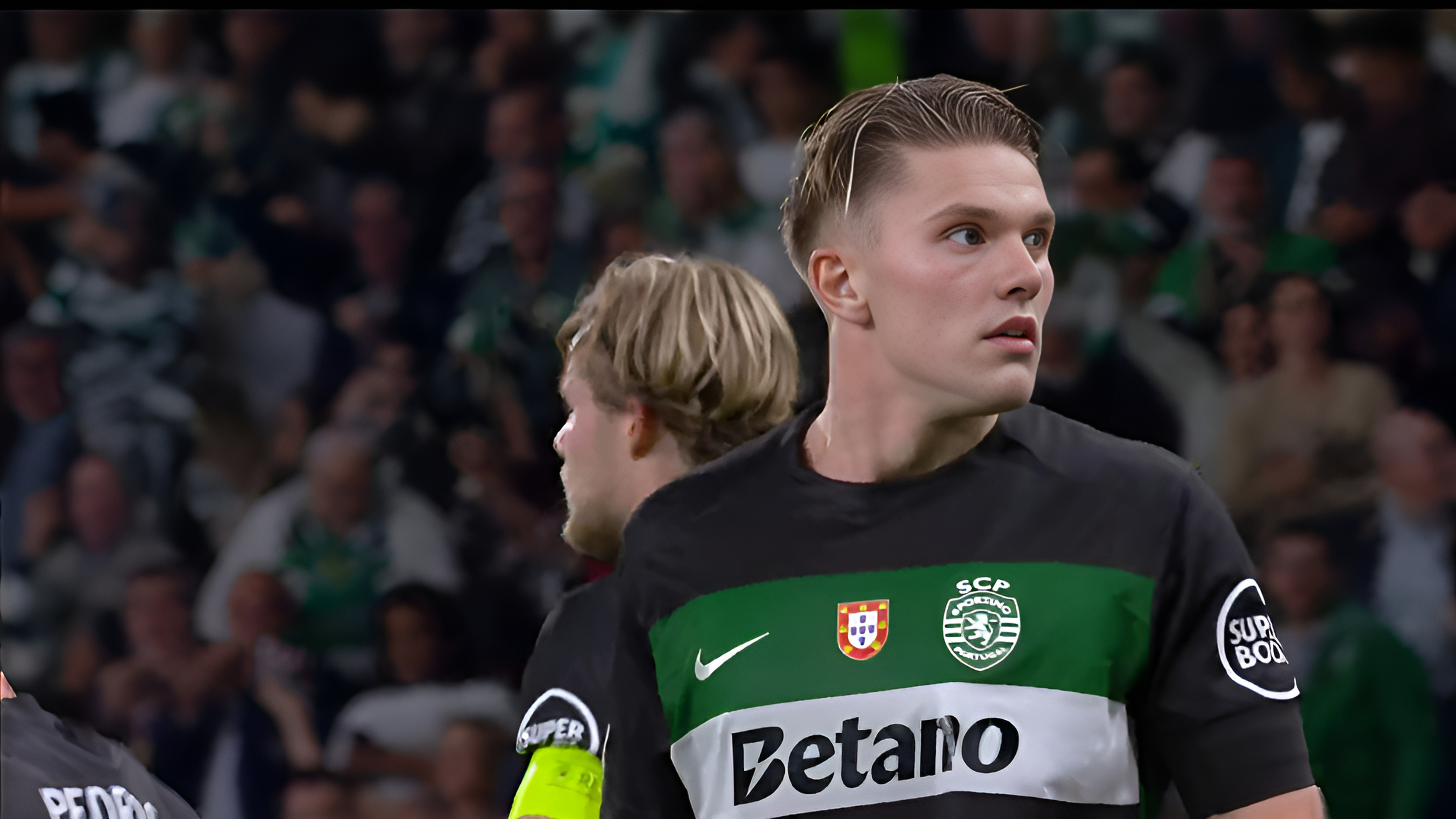 包含瑞典官宣波特出任主帅目标是带领球队晋级世界杯的词条  第2张