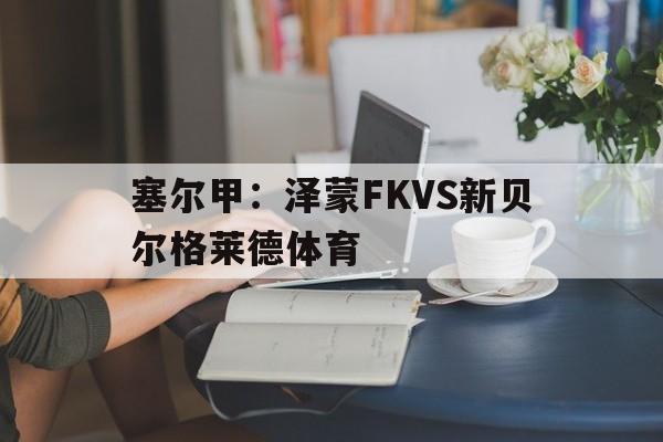 塞尔甲：泽蒙FKVS新贝尔格莱德体育的简单介绍  第1张