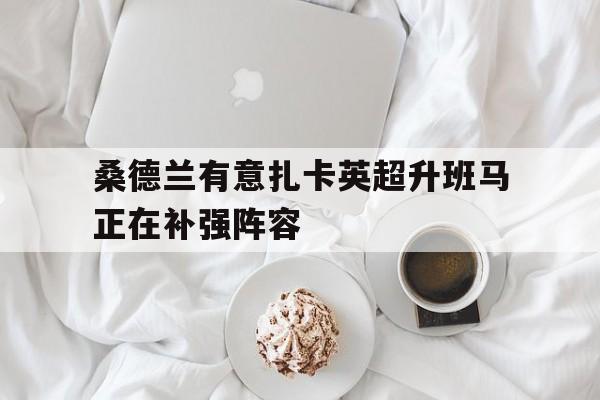 桑德兰有意扎卡英超升班马正在补强阵容的简单介绍