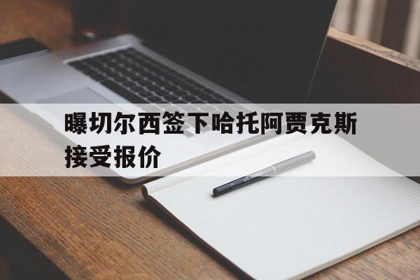 曝切尔西签下哈托阿贾克斯接受报价 第1张 曝切尔西签下哈托阿贾克斯接受报价 第1张